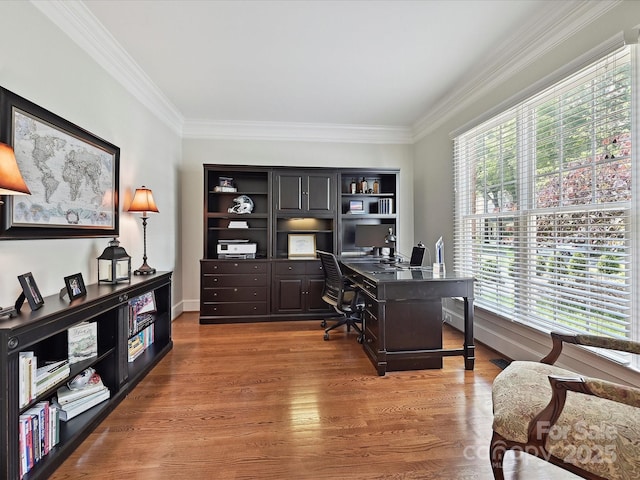 4701 Pineland Pl, Charlotte, NC 28277 - home office with a healthy amount of sunlight, crown molding, and wood finished floors