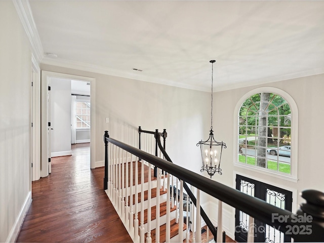 4701 Pineland Pl, Charlotte, NC 28277 - hallway with baseboards, dark wood-style flooring, ornamental molding, a chandelier, and an upstairs landing