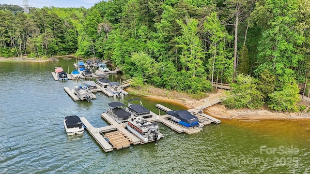 109 Braxton Gate Ct, Mount Holly, NC 28120 - dock with a water view and a view of trees
