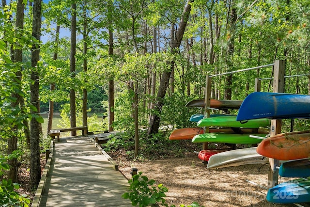 109 Braxton Gate Ct, Mount Holly, NC 28120 - view of play area