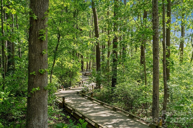 109 Braxton Gate Ct, Mount Holly, NC 28120 - view of home's community with a view of trees