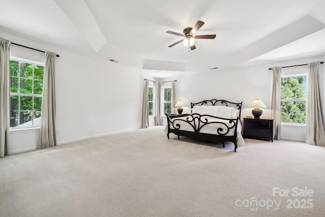 109 Braxton Gate Ct, Mount Holly, NC 28120 - carpeted bedroom with a raised ceiling and multiple windows