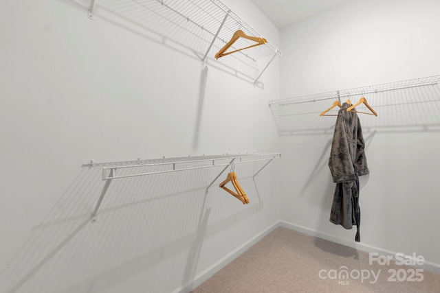 spacious closet with light carpet