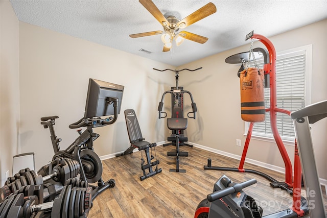 311 Masters Dr, Rock Hill, SC 29732 - exercise area with a ceiling fan, wood finished floors, baseboards, and a textured ceiling