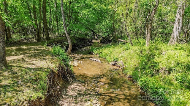 164 Forest Ridge Dr, Rutherfordton, NC 28139 - view of local wilderness