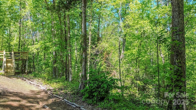 164 Forest Ridge Dr, Rutherfordton, NC 28139 - view of local wilderness featuring a view of trees