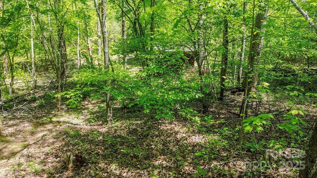 164 Forest Ridge Dr, Rutherfordton, NC 28139 - view of local wilderness featuring a forest view