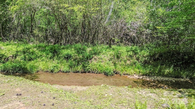 164 Forest Ridge Dr, Rutherfordton, NC 28139 - view of nature