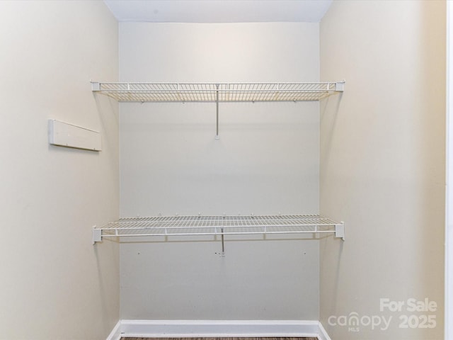 view of spacious closet