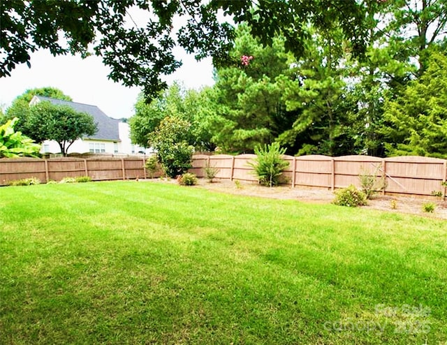 8218 Lynnewood Glen Dr, Charlotte, NC 28269 - photo 36