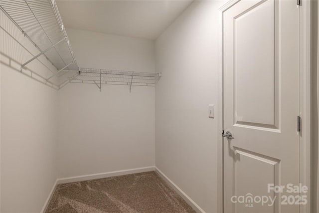14015 Penbury Ln Unit 373, Charlotte, NC 28278 - photo 30