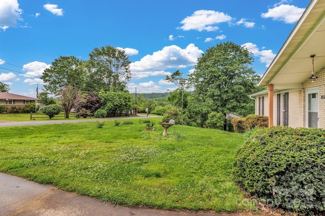 676 Arrowhead Trl Unit 6, Marion, NC 28752 - view of grassy yard