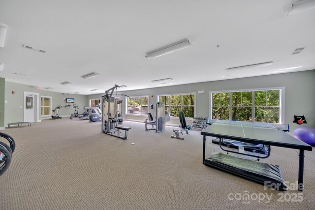 exercise room featuring baseboards, carpet, and visible vents