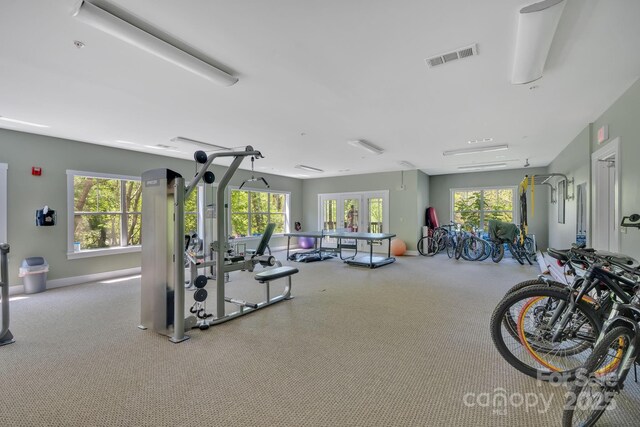 exercise room featuring carpet floors, visible vents, and a healthy amount of sunlight