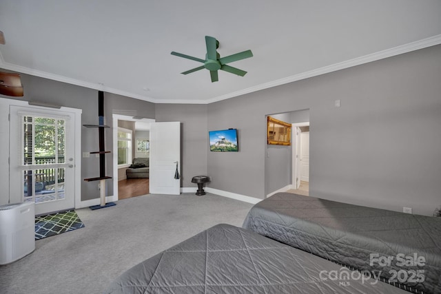9 Kenilworth Knl Unit 103, Asheville, NC 28805 - photo 22