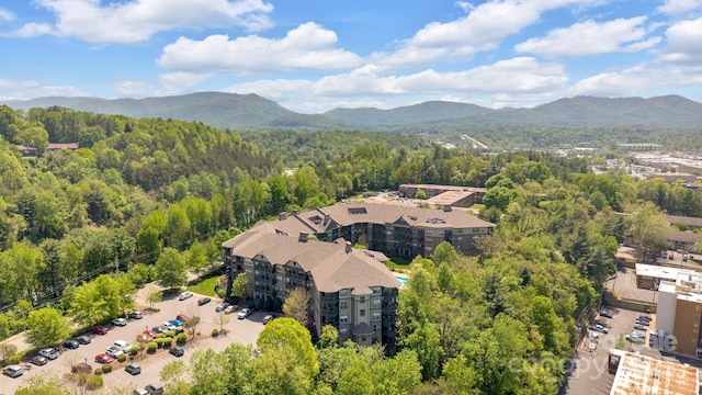 9 Kenilworth Knl Unit 103, Asheville, NC 28805 - photo 39