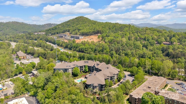 9 Kenilworth Knl Unit 103, Asheville, NC 28805 - photo 40