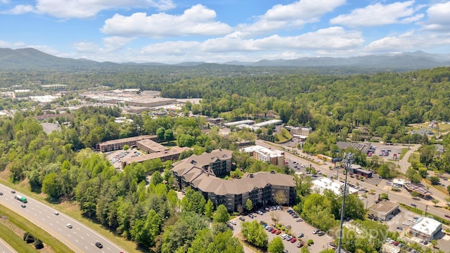 9 Kenilworth Knl Unit 103, Asheville, NC 28805 - photo 43