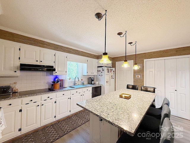 kitchen featuring light wood-style floors, a sink, under cabinet range hood, and black appliances