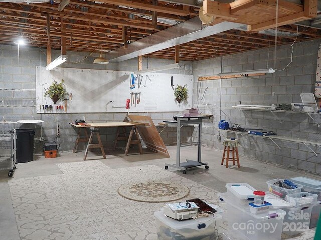 below grade area with a workshop area