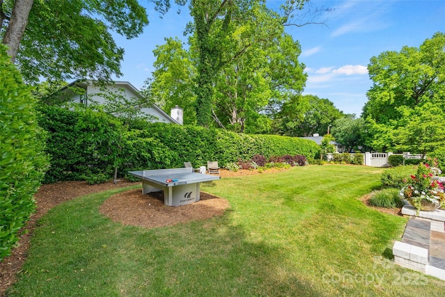 view of green lawn