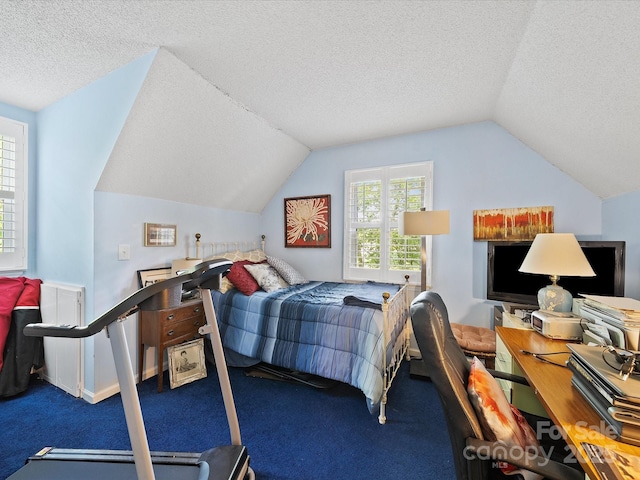 bedroom featuring a textured ceiling, vaulted ceiling, and carpet