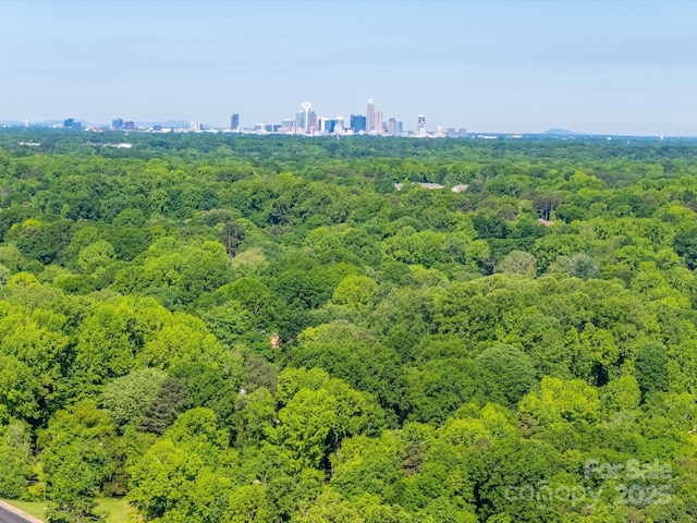 drone / aerial view of a forest