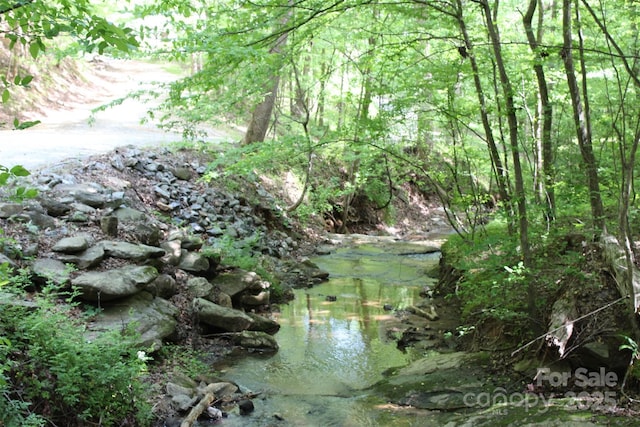 view of local wilderness
