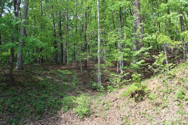 view of nature with a view of trees