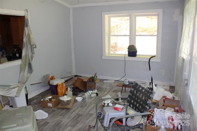 interior space featuring wood finished floors