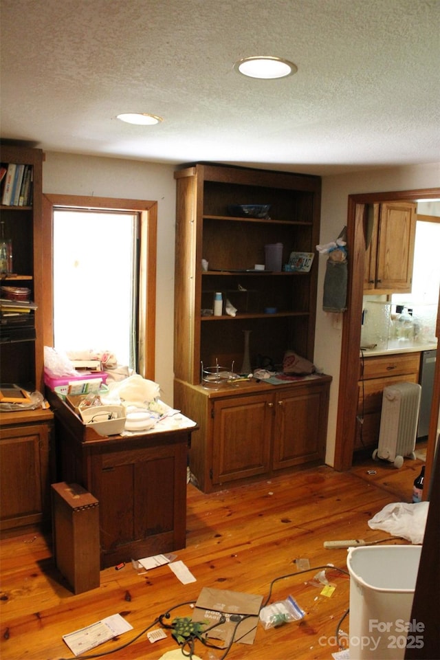 interior space featuring light wood-type flooring, a textured ceiling, plenty of natural light, and radiator heating unit