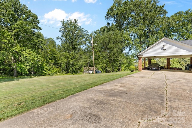 view of yard featuring driveway