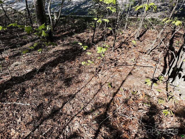 107 Settings Blvd Unit 176, Black Mountain, NC 28711