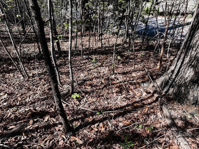 107 Settings Blvd Unit 176, Black Mountain, NC 28711