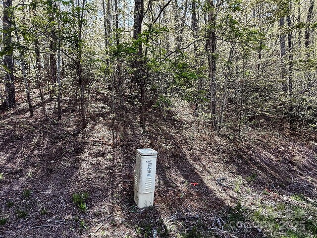 107 Settings Blvd Unit 176, Black Mountain, NC 28711