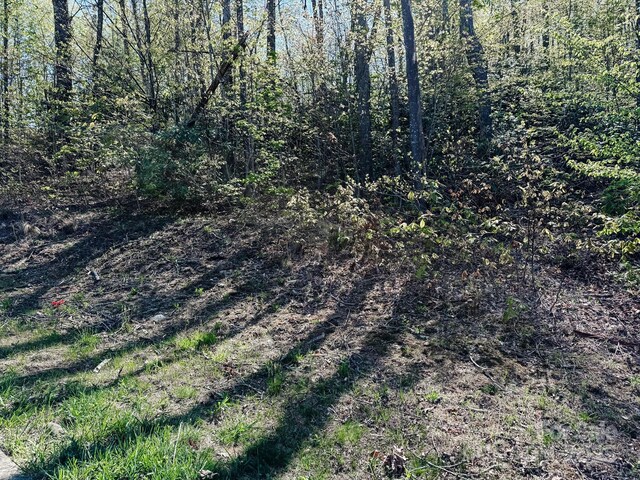 107 Settings Blvd Unit 176, Black Mountain, NC 28711