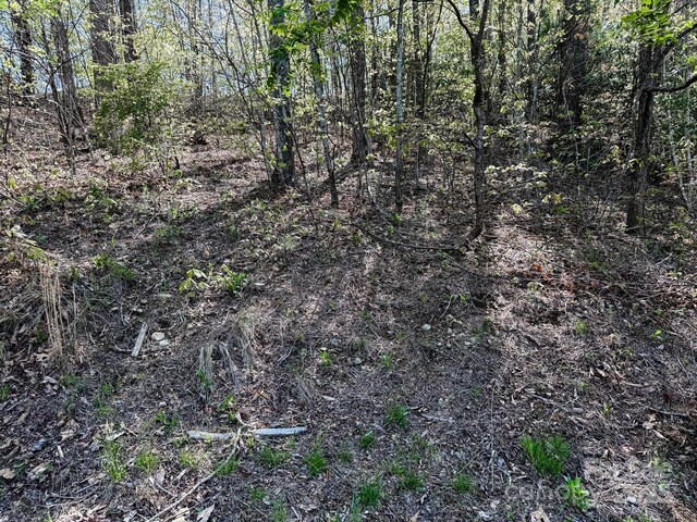 107 Settings Blvd Unit 176, Black Mountain, NC 28711