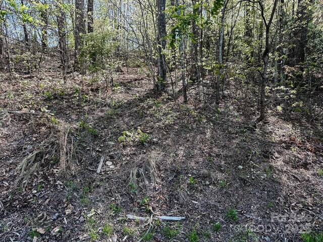 107 Settings Blvd Unit 176, Black Mountain, NC 28711