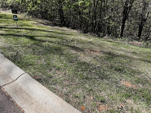 107 Settings Blvd Unit 176, Black Mountain, NC 28711