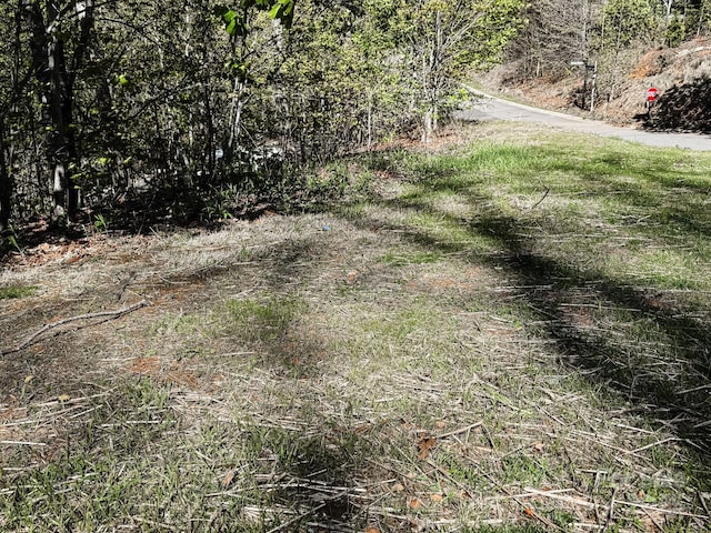 107 Settings Blvd Unit 176, Black Mountain, NC 28711