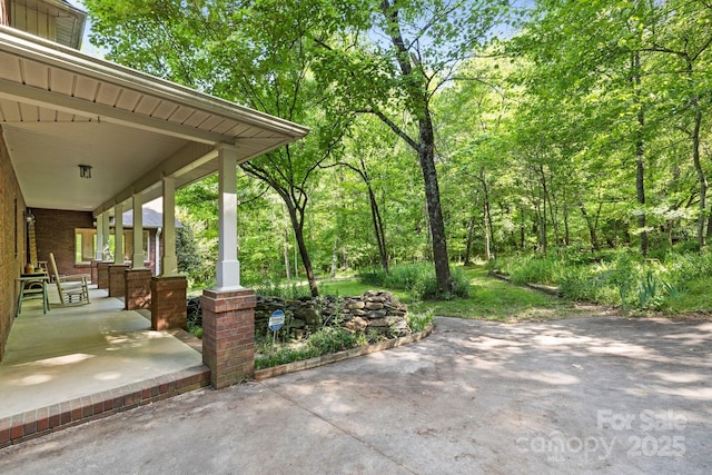 view of patio / terrace with covered porch and a forest view
