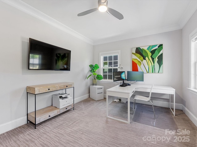 carpeted office space with crown molding, ceiling fan, plenty of natural light, and baseboards