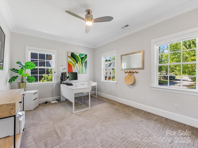 office with ceiling fan, ornamental molding, and baseboards