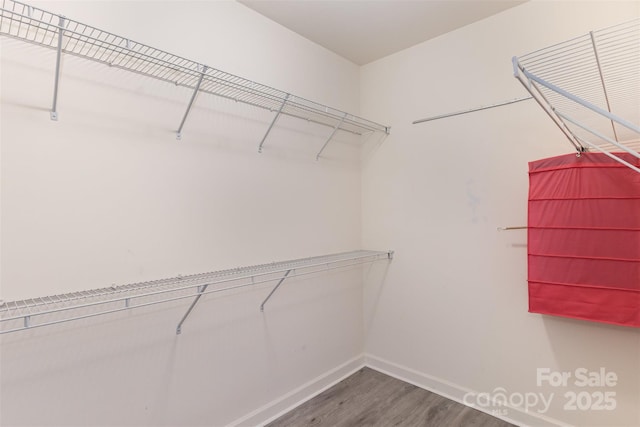 spacious closet with wood finished floors