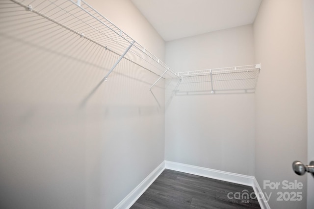 walk in closet featuring dark wood-style flooring