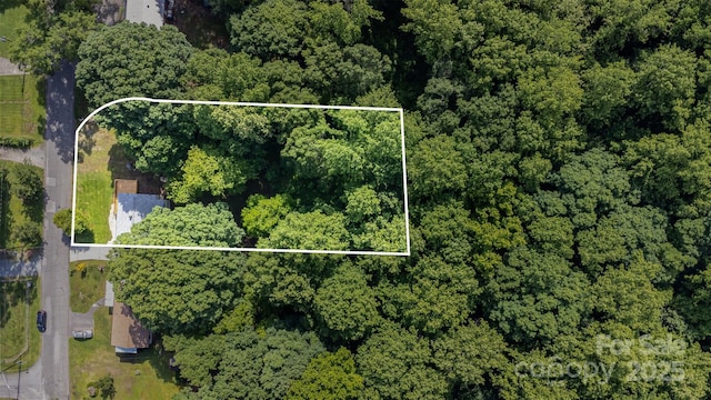 2603 Mary Ave, Gastonia, NC 28052 - aerial view of property and surrounding area with property boundaries highlighted and a forest