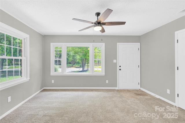 8303 Hemby Wood Dr, Indian Trail, NC 28079 - unfurnished room featuring plenty of natural light, carpet floors, and a textured ceiling