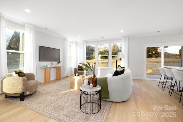 living area with crown molding, a healthy amount of sunlight, and light wood-style floors