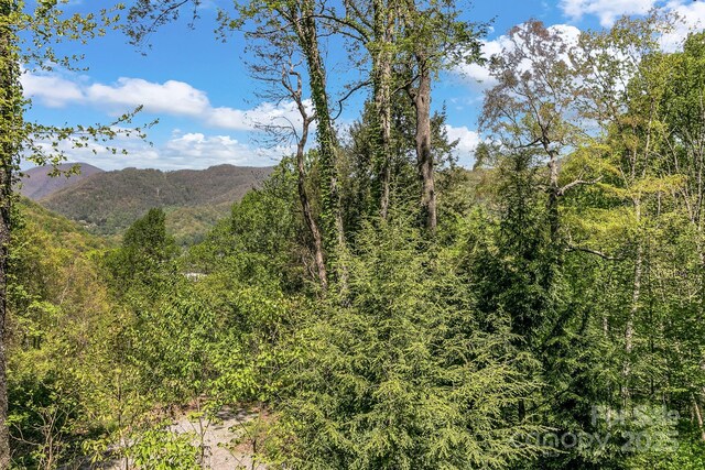 41 Log Cabin Dr, Maggie Valley, NC 28751 - mountain view with a view of trees