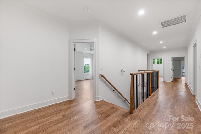 1816 Parson St, Charlotte, NC 28205 - photo 28